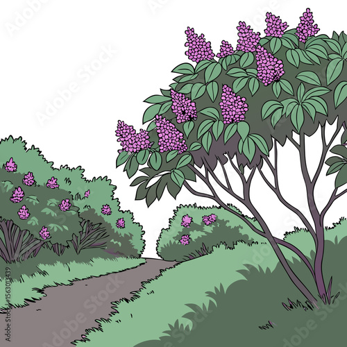 Lilac Bush Thicket Illustration