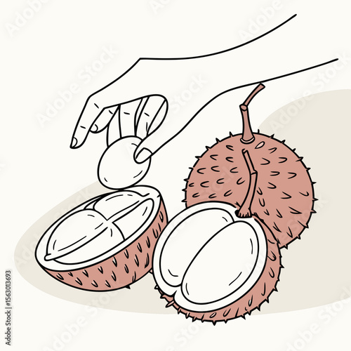 A hand peeling a rambutan fruit isolated on a light background