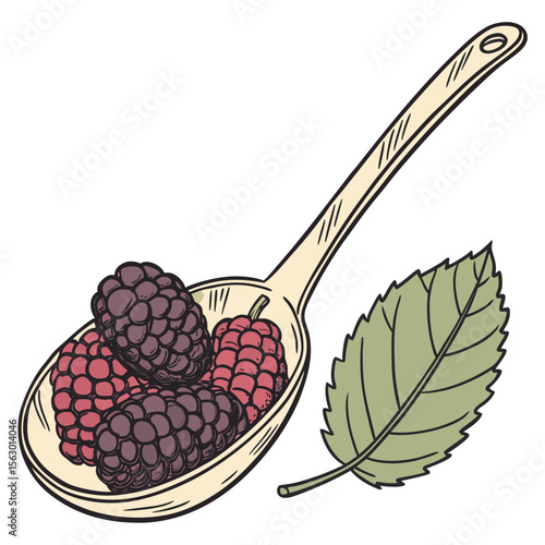 A spoonful of ripe blackberries with a green leaf on white background