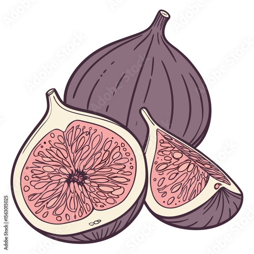 A whole and sliced fig fruit isolated on white background