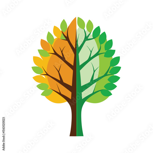 Tree vector icon with half green and half autumnal leaves isolated on a white background