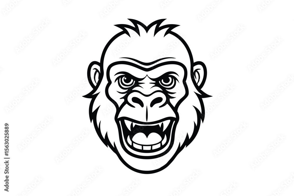Black line drawing presents an angry gorilla face showing its teeth on a white background Black line drawing presents an angry gorilla face showing its teeth on a white background