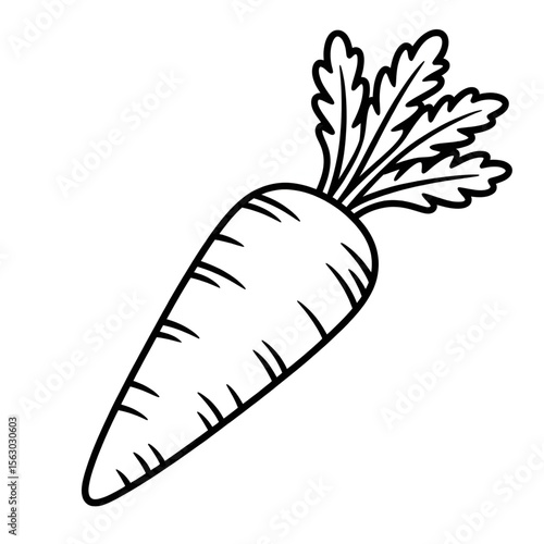 a carrot vector on the ground
