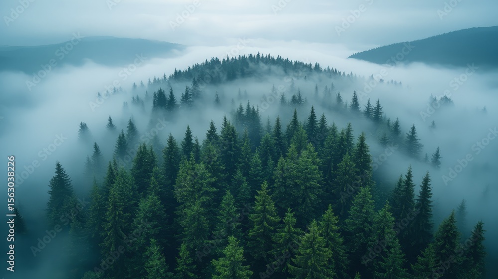 Obraz premium Aerial view of a dense evergreen forest shrouded in thick atmospheric fog with misty mountains in the background