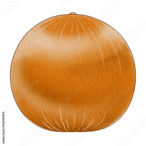 gooseberry01