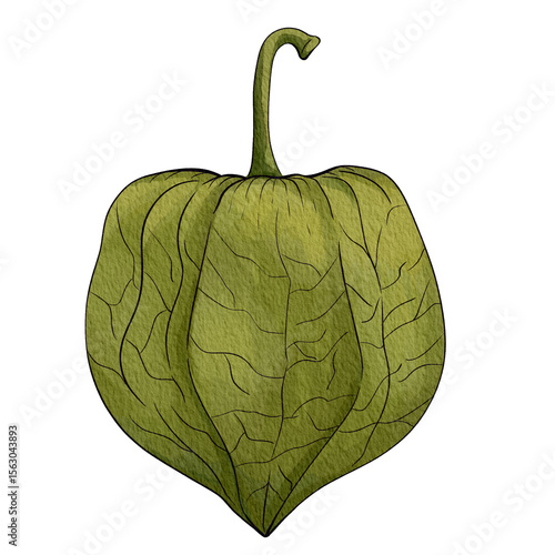 gooseberry01