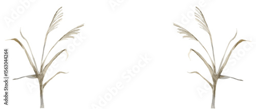 水墨画風のタッチで描かれたススキの和風植物ベクターイラスト素材｜ススキ,水墨画風,秋,植物,和風,筆タッチ