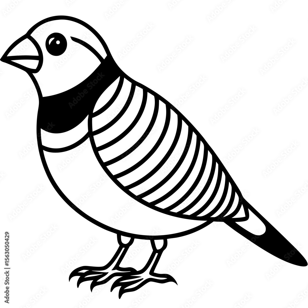Fototapeta premium Zebra Finch Outline Bird Vector