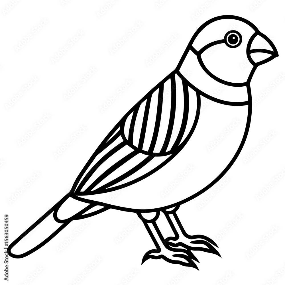 Obraz premium Zebra Finch Outline Bird Vector