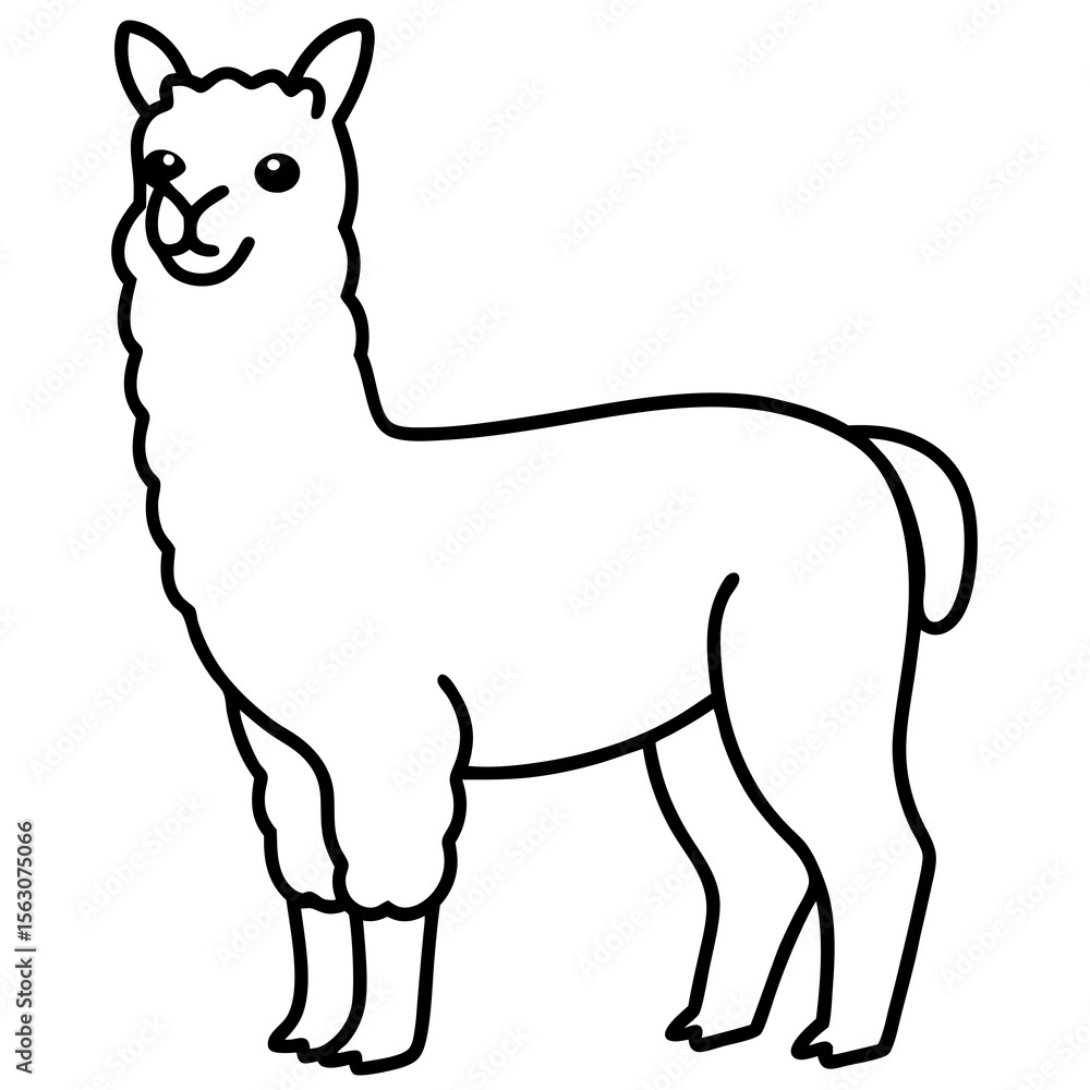Fototapeta premium Simple Alpaca Line Drawing