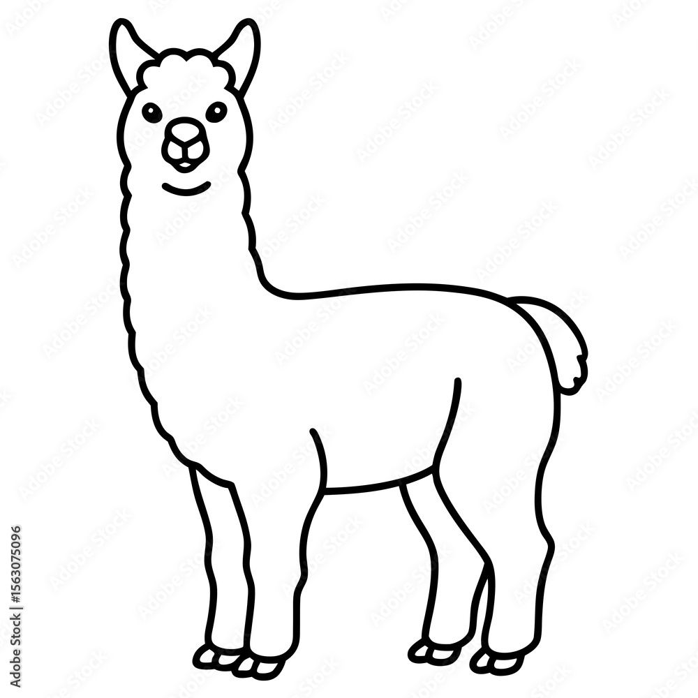 Fototapeta premium Simple Alpaca Line Drawing