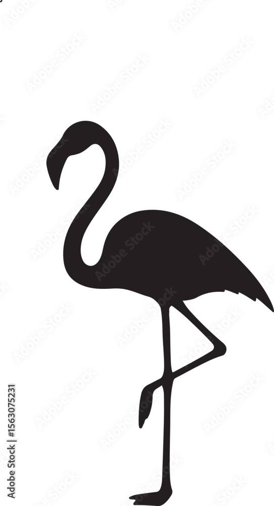 Fototapeta premium Flamingo vector illustration of bird silhouette isolated on white background
