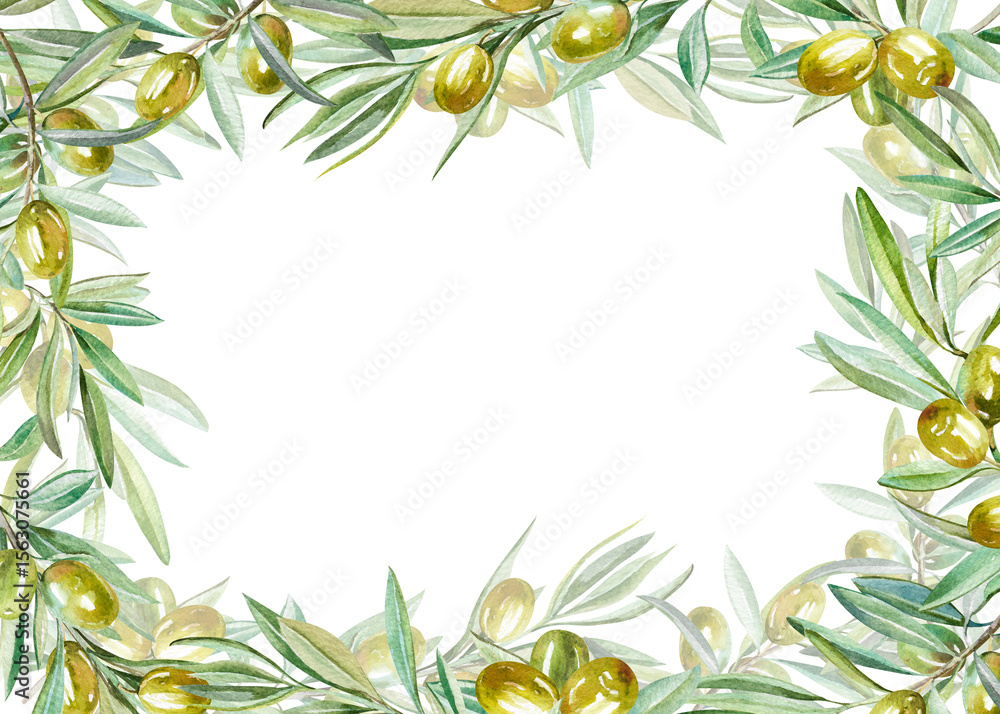 Naklejka premium olive branch with leaves and ripe fruits hand drawn watercolor illustration isolated on white. Botanical rectangular frame of Green fresh twig for harvest, food, natural, eco design, cards, invitation