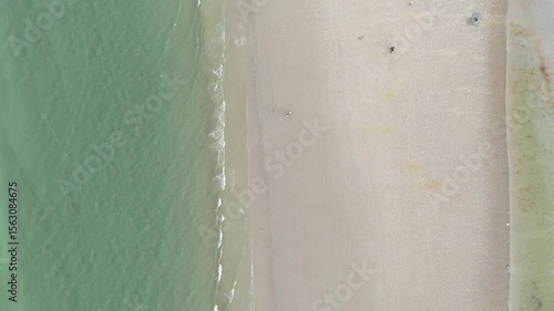 Urban beachfront with palm trees and sky