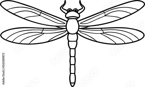 dragon fly wings line art