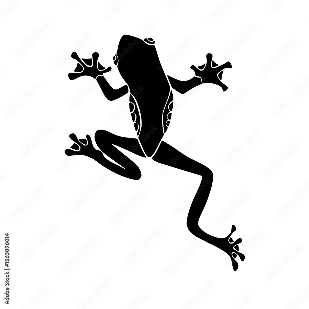 Obraz premium frog silhouette in transparent background 
