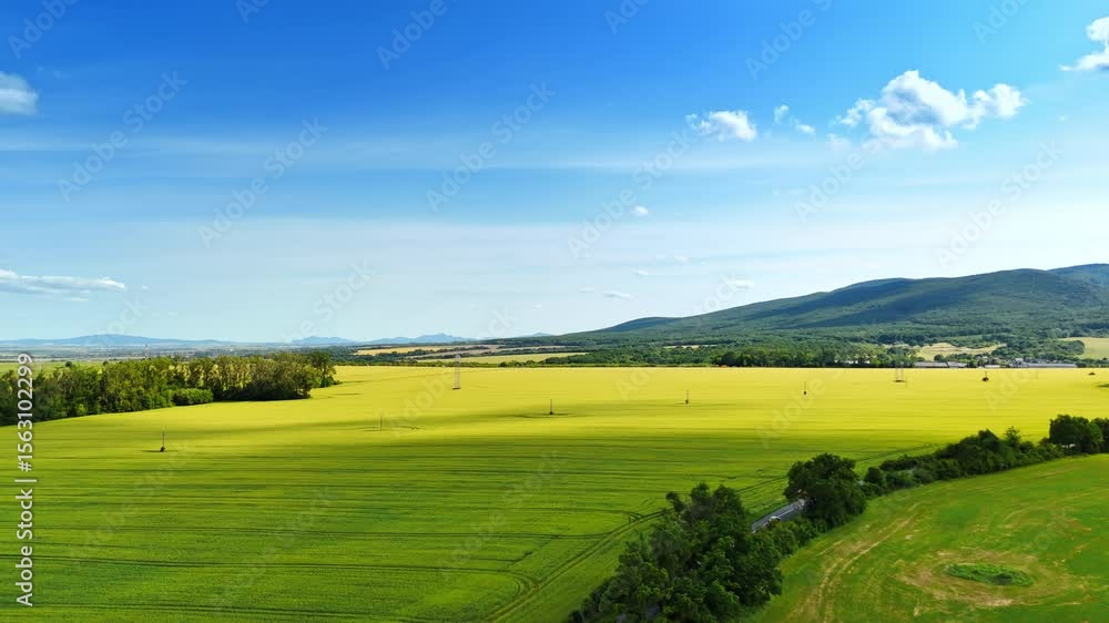 Green fields stretch over rolling hills. Expansive green fields extend across the landscape under a bright blue sky with fluffy clouds in the distance. Green fields stretch over rolling hills. Expansive green fields extend across the landscape under a bright blue sky with fluffy clouds in the distance.