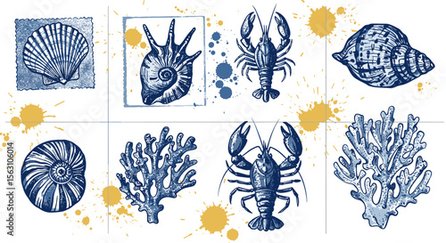 Nautical vector illustration of marine life with shells and coral in hand drawn style for design and decoration