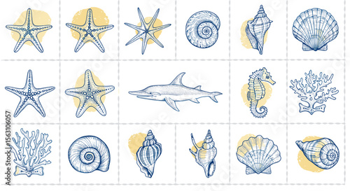Marine life collection vector illustration featuring starfish, shells, seahorse, and shark for nautical design