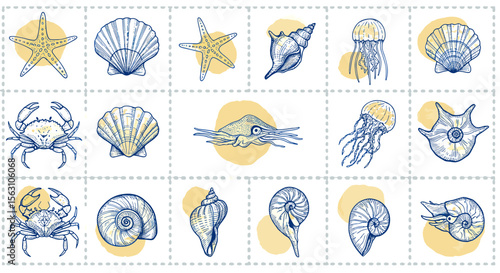 Nautical marine life vector illustration with seashells, starfish, and crabs in hand drawn style for design projects