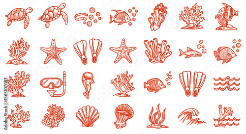Marine life and scuba diving elements vector illustration in hand drawn style