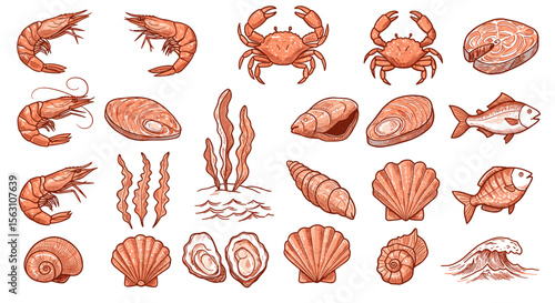 Seafood and marine life vector illustration: crabs, shells, fish, and seaweeds in a detailed hand drawn style for posters or cards