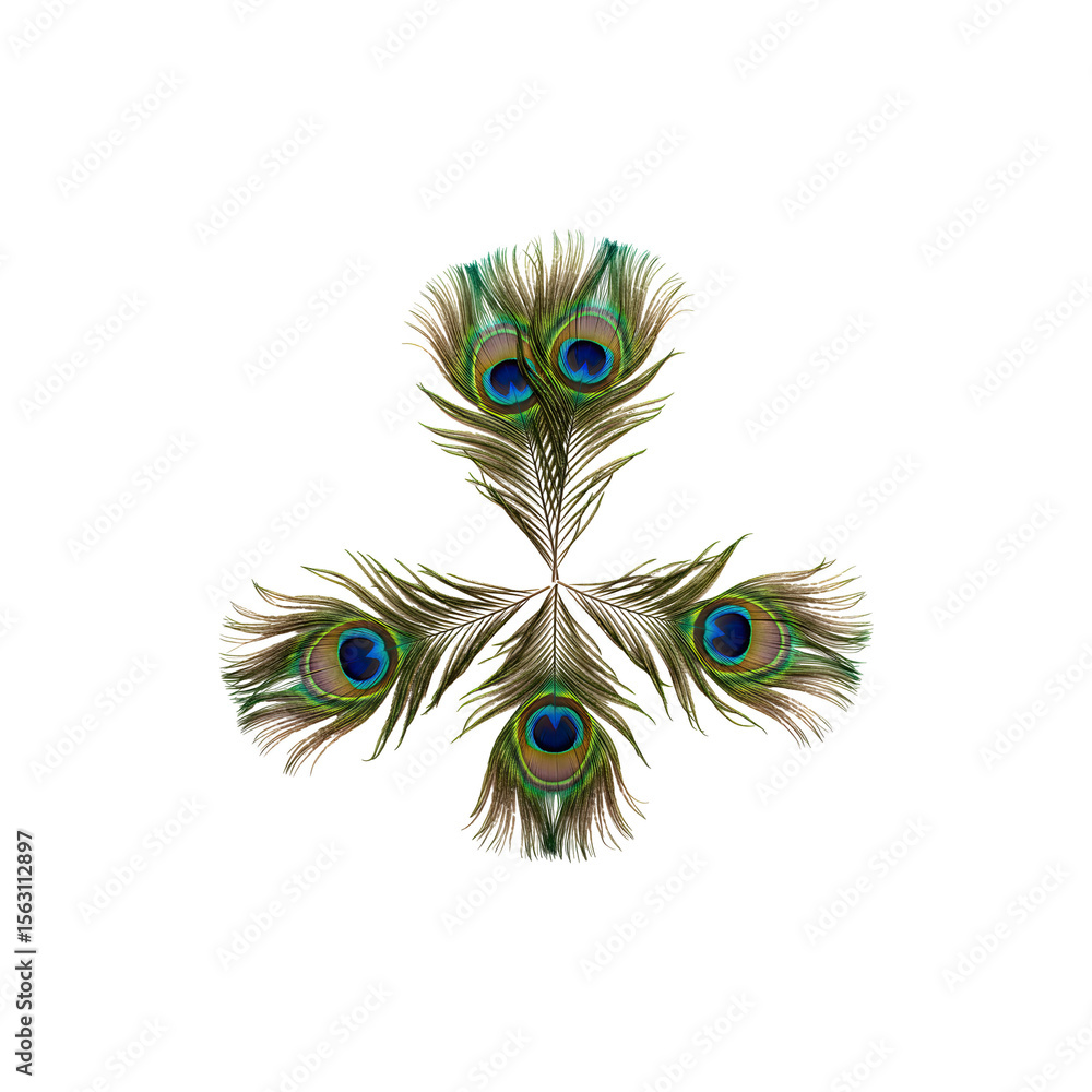 Obraz premium Cluster of Decorative Peacock Feathers Representing Beauty and Grace