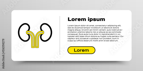 Line Human kidneys icon isolated on white background. Colorful outline concept. Vector
