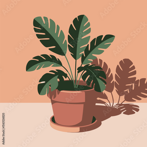 A terracotta pot containing a lush green Monstera deliciosa plant sits against a peach colored wall casting a shadow of its leaves on the pale surface below a minimalist vector style illustration