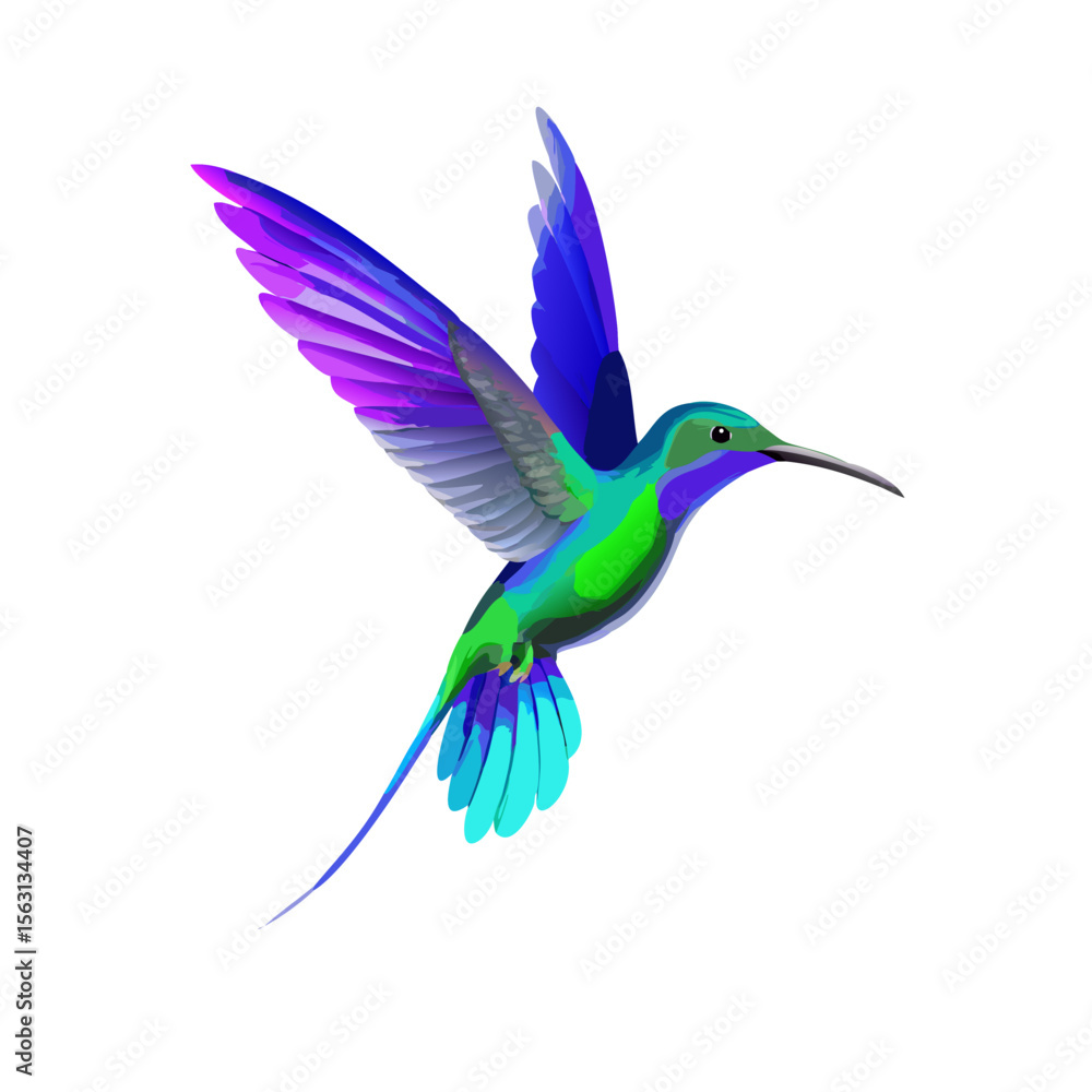 Obraz premium Colorful Hummingbird Illustration – Exotic Tropical Bird Artwork, Vibrant Flying Wildlife Design, Nature-Inspired Clipart, Nectar Feeder Animal Graphic