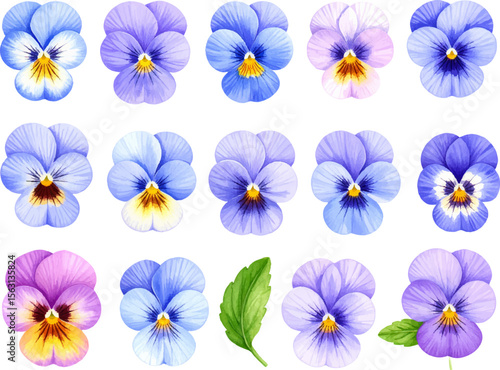 Set of colorful pansy flowers, a seamless floral pattern design illustration with purple petals, perfect for nature-inspired spring and summer decoration