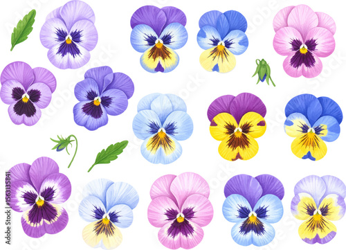 Set of colorful pansy flowers, a seamless floral pattern design illustration with purple petals, perfect for nature-inspired spring and summer decoration