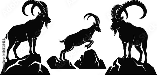 Ibex mountain goat vector illustration silhouette horned animal wildlife art