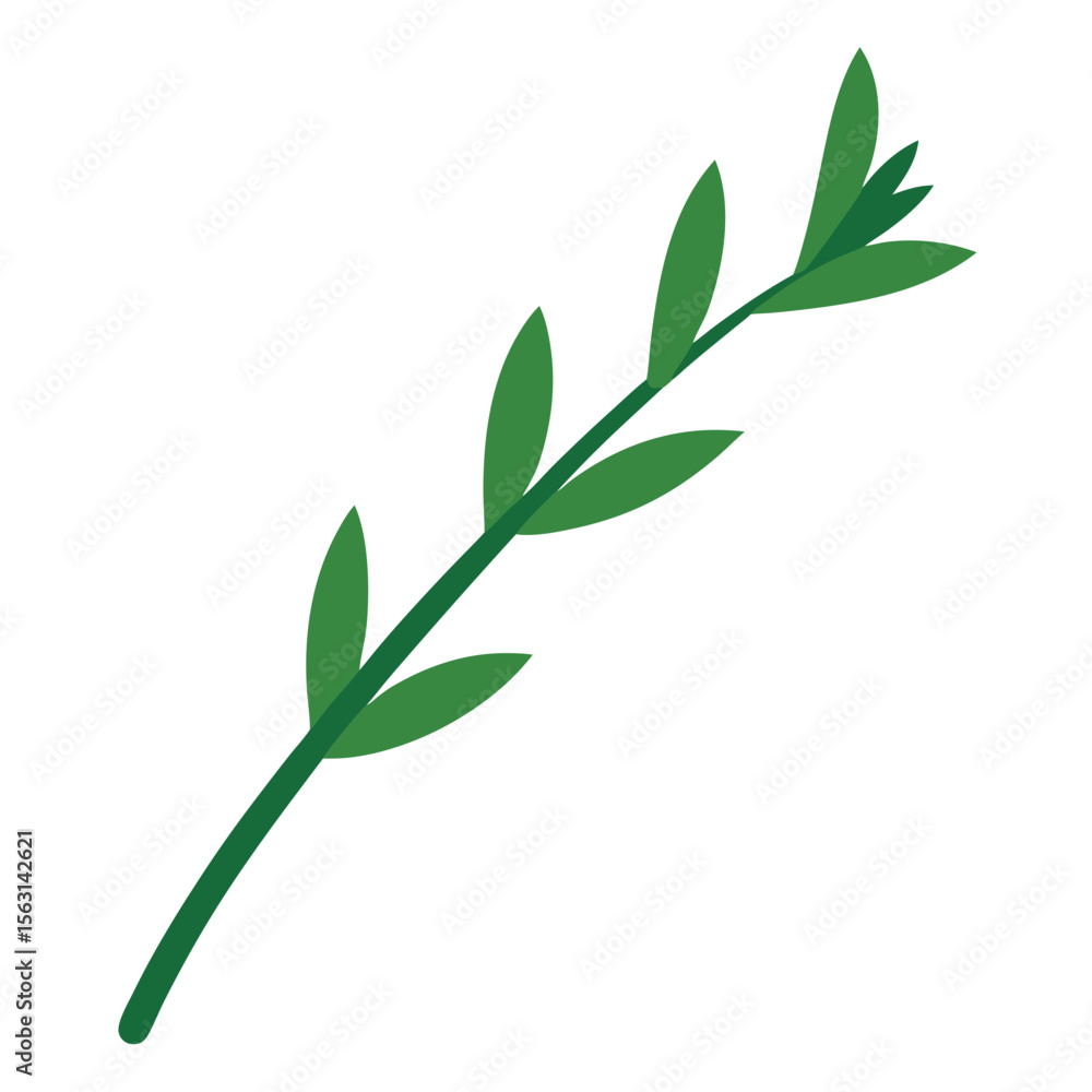 Fototapeta premium green leaves on white background