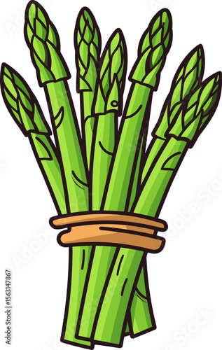Fresh Green Asparagus Bundle - A Culinary Delight of Spring Harvest