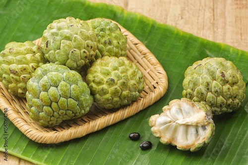 Srikaya fruit or cherimoya or annona squamosa or sugar apple is a type of tropical fruit that is thought to originate from the Andes mountains in South America.