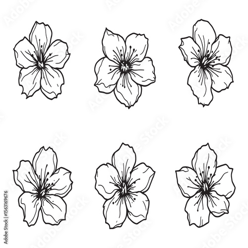Cherry Blossom Bash Minimalist Sakura Blossom Drawing