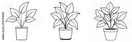 Indoor House Plant Coloring Page - Potted Plant Line Art Outline for Kids and Adults