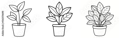 Indoor House Plant Coloring Page - Potted Plant Line Art Outline for Kids and Adults