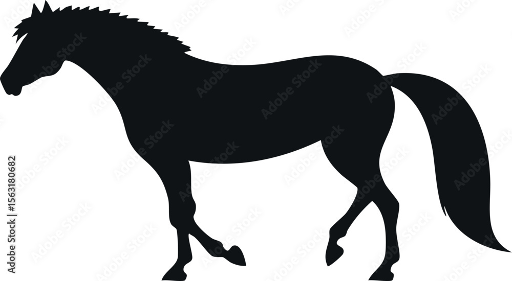 Obraz premium Appaloosa horse silhouette illustration