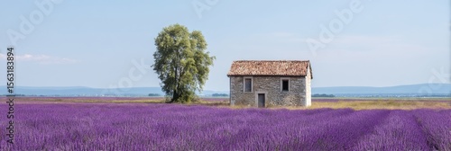 Stone cottage amid murmuring lavender fields, Provencal idyll, juicy solitude vibes, linked to Bastille Day and La Fete de la Lavande