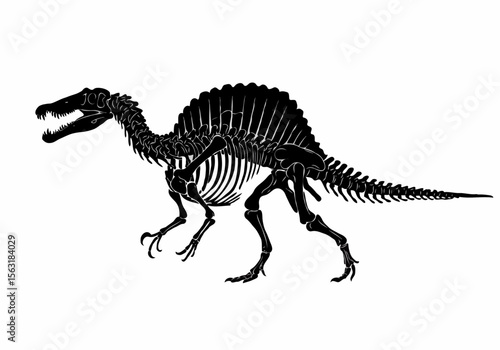 Black silhouette of a spinosaurus dinosaur skeleton on a white background