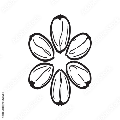 groundnuts minimalistic line drawing vector for healthy snacks