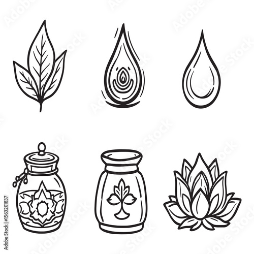 hand drawn ayurvedic medicine and herbal remedy illustrations