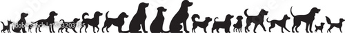Diverse dog breeds silhouettes dogs various