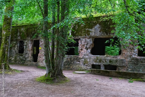 Fototapeta Naklejka Na Ścianę i Meble -  Abandoned military bunker in the forest on a sunny summer day, Wolf's Lair, Mazury, Poland