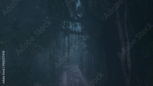 The road of rain in the tropical forest in the morning, loop video