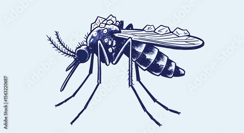 Detailed Stylized Mosquito Illustration - Pest Insect Vector Art