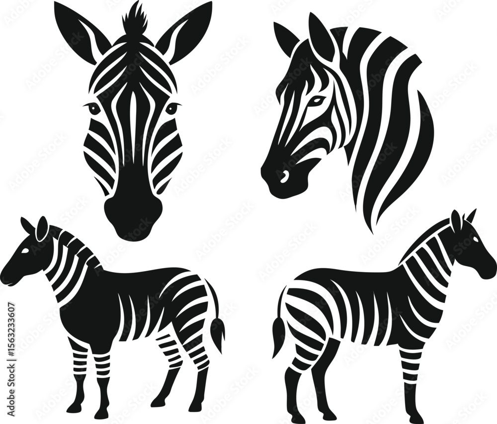 Obraz premium zebra vector illustration