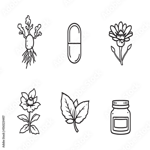 Organic medicinal herbs collection in black and white drawing